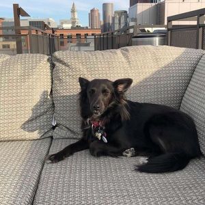 Meet your Posher, Brian